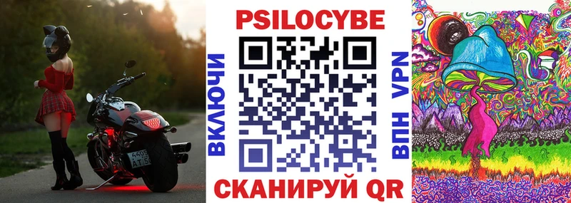 Псилоцибиновые грибы Psilocybe  Купить где  Буй 